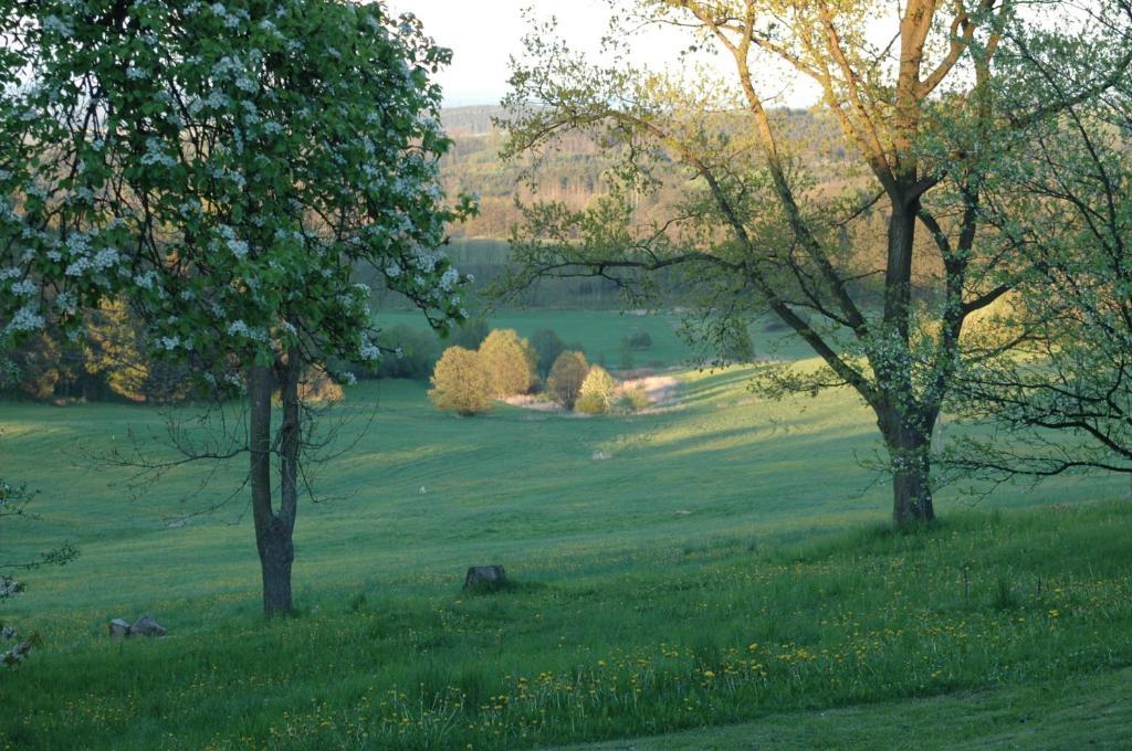 Penzion Dvur Obora  Bagian luar foto